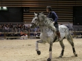 Equita Longines - Le Salon du Cheval de Lyon - 2018 _3396.jpg