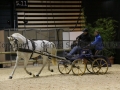 Equita Longines - Le Salon du Cheval de Lyon - 2018 _3447.jpg