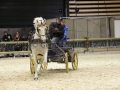 Equita Longines - Le Salon du Cheval de Lyon - 2018 _3448.jpg