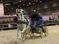 Equita Longines - Le Salon du Cheval de Lyon - 2018 _3477.jpg