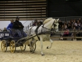 Equita Longines - Le Salon du Cheval de Lyon - 2018 _3498.jpg