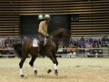 Equita Longines - Le Salon du Cheval de Lyon - 2018 _3533.jpg