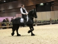 Equita Longines - Le Salon du Cheval de Lyon - 2018 _3722.jpg