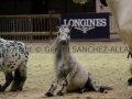 Equita Longines - Le Salon du Cheval de Lyon - 2018 _3870.jpg