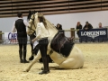 Equita Longines - Le Salon du Cheval de Lyon - 2018 _3884.jpg