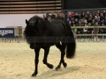 Equita Longines - Le Salon du Cheval de Lyon - 2018 _3907.jpg