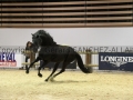 Equita Longines - Le Salon du Cheval de Lyon - 2018 _4051.jpg