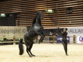 Equita Longines - Le Salon du Cheval de Lyon - 2018 _4104.jpg