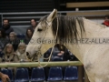 Equita Longines - Le Salon du Cheval de Lyon - 2018 _4457.jpg