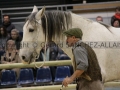 Equita Longines - Le Salon du Cheval de Lyon - 2018 _4458.jpg