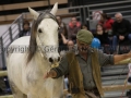 Equita Longines - Le Salon du Cheval de Lyon - 2018 _4476.jpg