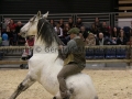 Equita Longines - Le Salon du Cheval de Lyon - 2018 _4484.jpg