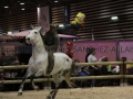 Equita Longines - Le Salon du Cheval de Lyon - 2018 _4507.jpg