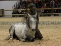 Equita Longines - Le Salon du Cheval de Lyon - 2018 _4521.jpg