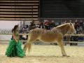 Equita Longines - Le Salon du Cheval de Lyon - 2018 _4617.jpg