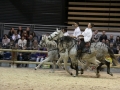 Equita Longines - Le Salon du Cheval de Lyon - 2018 _4664.jpg