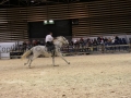 Equita Longines - Le Salon du Cheval de Lyon - 2018 _4692.jpg