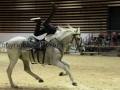 Equita Longines - Le Salon du Cheval de Lyon - 2018 _4721.jpg