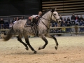 Equita Longines - Le Salon du Cheval de Lyon - 2018 _4744.jpg