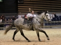 Equita Longines - Le Salon du Cheval de Lyon - 2018 _4745.jpg