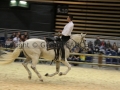 Equita Longines - Le Salon du Cheval de Lyon - 2018 _4757.jpg