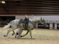 Equita Longines - Le Salon du Cheval de Lyon - 2018 _4771.jpg