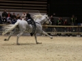 Equita Longines - Le Salon du Cheval de Lyon - 2018 _4775.jpg