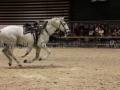 Equita Longines - Le Salon du Cheval de Lyon - 2018 _4805.jpg