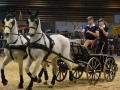 Equita Lyon 2017 _ Cabaret Equestre_20171101_2184 _ Attelage VOGEL - Copyright Gerard SANCHEZ-ALLAIS.jpg