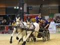 Equita Lyon 2017 _ Cabaret Equestre_20171101_2205 _ Attelage VOGEL - Copyright Gerard SANCHEZ-ALLAIS.jpg