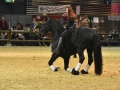 Equita Lyon 2017 _ Cabaret Equestre_20171101_2245 - Chevaux Frisons - Copyright Gerard SANCHEZ-ALLAIS.jpg