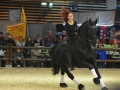 Equita Lyon 2017 _ Cabaret Equestre_20171101_2282 - Chevaux Frisons - Copyright Gerard SANCHEZ-ALLAIS.jpg