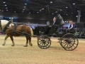 Equita Lyon 2017 _ Cabaret Equestre_20171101_2319 _ Chevaux de trait du Rhone - Copyright Gerard SANCHEZ-ALLAIS.jpg