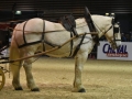 Equita Lyon 2017 _ Cabaret Equestre_20171101_2323 _ Chevaux de trait du Rhone - Copyright Gerard SANCHEZ-ALLAIS.jpg