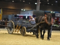 Equita Lyon 2017 _ Cabaret Equestre_20171101_2343 _ Chevaux de trait du Rhone - Copyright Gerard SANCHEZ-ALLAIS.jpg