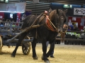 Equita Lyon 2017 _ Cabaret Equestre_20171101_2344 _ Chevaux de trait du Rhone - Copyright Gerard SANCHEZ-ALLAIS.jpg