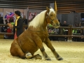 Equita Lyon 2017 _ Cabaret Equestre_20171101_2488 _ LES COMTOIS EN FOLIE - Copyright Gerard SANCHEZ-ALLAIS.jpg