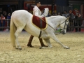 Equita Lyon 2017 _ Cabaret Equestre_20171101_2640 _ Mario STIVAL - Copyright Gerard SANCHEZ-ALLAIS.jpg