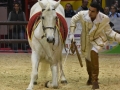 Equita Lyon 2017 _ Cabaret Equestre_20171101_2641 _ Mario STIVAL - Copyright Gerard SANCHEZ-ALLAIS.jpg