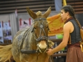 Equita Lyon 2017 _ Cabaret Equestre_20171101_2918 _ Troupe JEHOL - Copyright Gerard SANCHEZ-ALLAIS.jpg