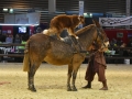 Equita Lyon 2017 _ Cabaret Equestre_20171101_2924 _ Troupe JEHOL - Copyright Gerard SANCHEZ-ALLAIS.jpg