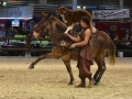 Equita Lyon 2017 _ Cabaret Equestre_20171101_2925 _ Troupe JEHOL - Copyright Gerard SANCHEZ-ALLAIS.jpg