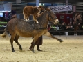 Equita Lyon 2017 _ Cabaret Equestre_20171101_2927 _ Troupe JEHOL - Copyright Gerard SANCHEZ-ALLAIS.jpg