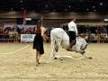 Longines Equita Lyon 2024 - DSC_1621