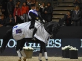 Equita Lyon - FEI World Cup TM Grand Prix Freestyle presented by FFE Generali - Lyon Eurexpo _3937- Remise des Prix - Copyright Gerard Sanchez-Allais.jpeg