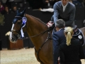 Equita Lyon - Longines FEI World Cup TM presented by GL events - Lyon Eurexpo - octobre 2016 - _1099_remise des prix_- Copyright Gerard Sanchez-Allais.jpeg