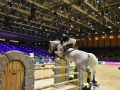 Equita Lyon - Longines Grand Prix - Lyon Eurexpo 28 octobre 2016 - _4880-r John Whitaker - Copyright Gerard Sanchez-Allais.jpeg