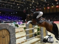 Equita Lyon - Longines Grand Prix - Lyon Eurexpo 28 octobre 2016 - _5015-r Patrice Delaveau - Copyright Gerard Sanchez-Allais.jpeg