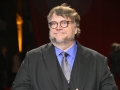 Festival Lumiere 2017 - Lyon_0999 - Guillermo DEL TORO.jpg