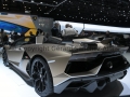 Copyright Gerard Sanchez-Allais - GIMS 2019 - Geneva International Motor Show _9476